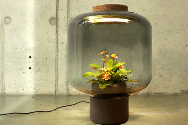 德设计师采用LED防水电源发明无需打理的植物灯